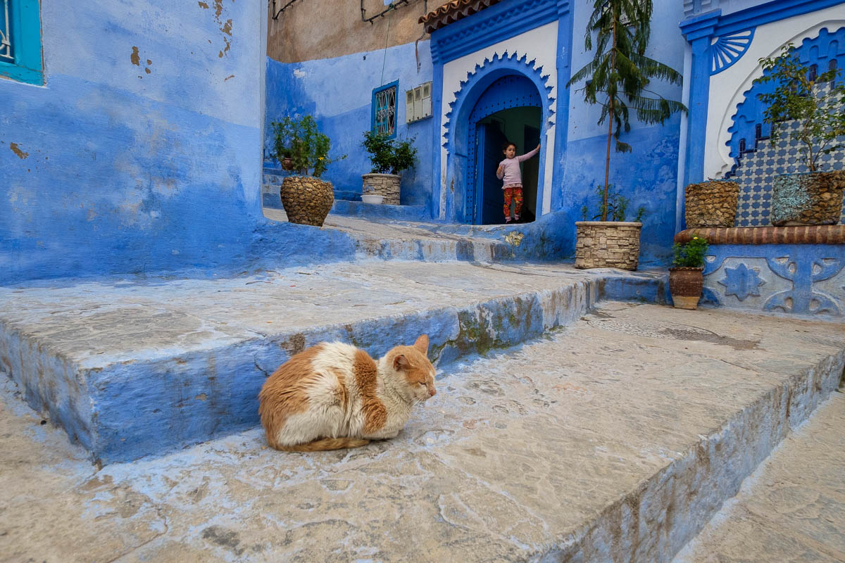 A young child watches her cat on the streets of Chefchaouen